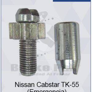 NISSAN CABSTAR