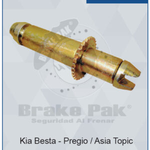 KIA BESTA / KIA PREGIO / KIA ASIA TOPIC