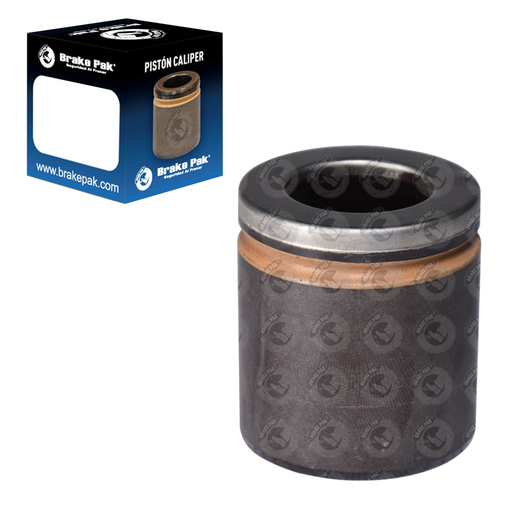 FORD F150 / DODGE DAKOTA